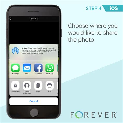 Looking to share your phone's screen on android or iphone? How do I Share a Photo Using the iPhone App? - Forever ...