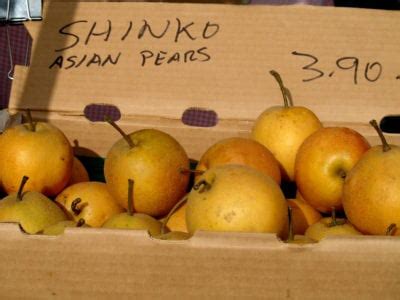 This medium sized tree is a very productive annual bearer that responds well to thinning. Caring For Shinko Asian Pears - How To Grow Shinko Pears ...