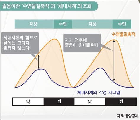 사혈 및 혈전 제거 3.6. 중앙시사매거진