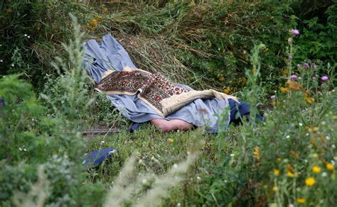 We did not find results for: Photos: Ukraine rebels move MH17 victim's bodies, tamper ...