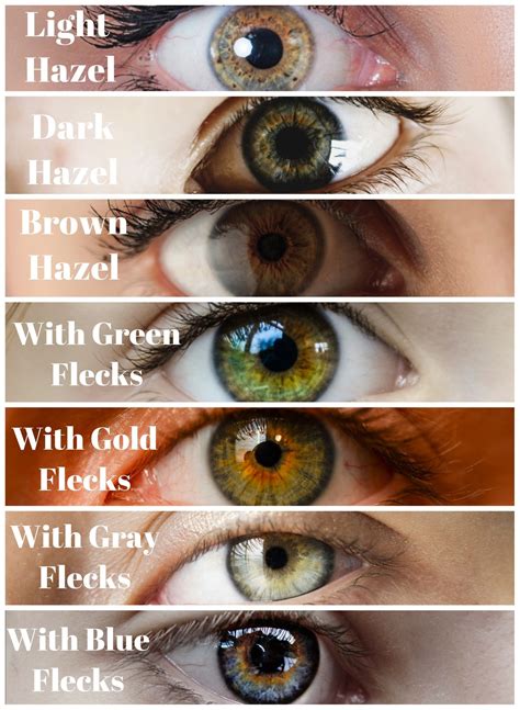 The cool thing about hazel eyes? Best Eyeshadow For Hazel Eyes And Gray Hair - Wavy Haircut