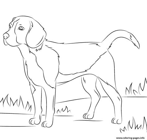 Printable coloring pages are fun and can help children develop important skills. Realistic Dog Coloring Pages Printable