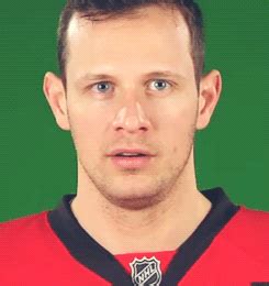 This is the ottawa senators logo. MRW i found imgur's reaction gif archive : reactiongifs