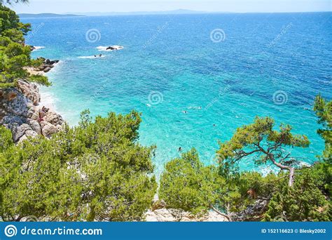 While many of hvar's beaches involve perching on a rock before stepping gingerly out onto a stony inspired by our list of the best beaches in croatia? Beaches of Hvar, Croatia stock image. Image of pines - 152116623