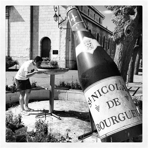 Les vins de saint nicolas de bourgueil se distinguent en fonction du terroir de ses parcelles. Un Saint Nicolas de Bourgueil en dehors du temps ! | Wine ...