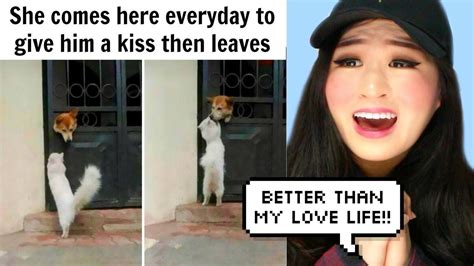 Tik toks to make you question gen z's sanity. The Happiest Dog Memes Ever That Will Make You Smile - YouTube