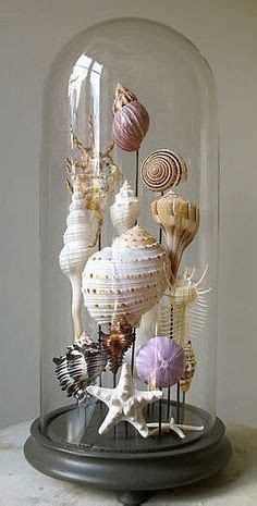 Maybe you would like to learn more about one of these? Pin by Maria Knight on Crafts ideas | Seashell projects ...