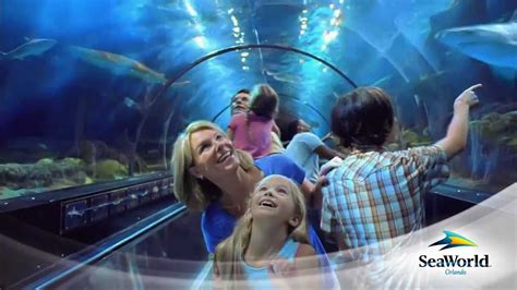 Platinum annual pass members enjoy the following benefits: Thrillnetwork | Meet the SEA Family | Busch Gardens ...