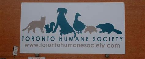 The suncoast humane society is one of florida's few open admissions animal shelters. Environmental Signage | Gregory Signs