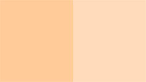 The hexadecimal code that matches this color is ffe5b4. 46+ Peach Colored Wallpaper on WallpaperSafari
