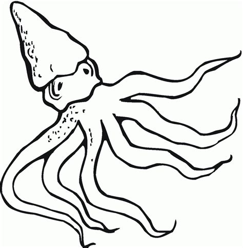 There are ahout 300 species are recognised in the sea. Free Printable Octopus Coloring Pages For Kids