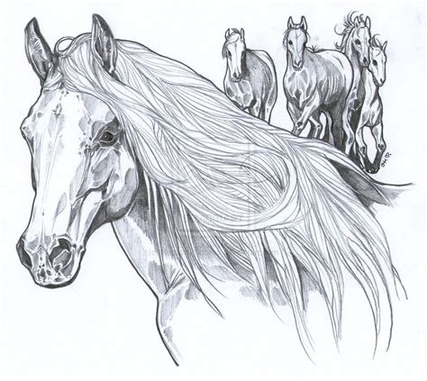 Don't make your mustang all flabby with no sense of realism. Wild Mustangs (With images) | Wild mustangs, Horse coloring pages, Mustang drawing