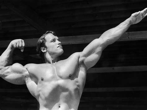 Olympia, conan, terminator, and governor of california. Workout Principles by Arnold Schwarzenegger - Muscular ...