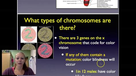 Chapter 14 human inheritance key terms: CP Bio: 14.1 Human Chromosomes Notes - YouTube