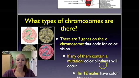 An extra copy of chromosome 21 causes down syndrome, the most frequent genetic cause of when hybridised to chromosomal spreads these sequences cross hybridise with heterochromatin on acrocentric chromosomes and specific areas of. CP Bio: 14.1 Human Chromosomes Notes - YouTube