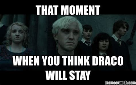 #harry potter #hp #sirius black #marauders #harry potter memes #i think it was the only big black dog i had heard of as a kid #so i was like #ah yes #this large lump of fur indicates death #queued. Draco Malfoy Memes | image.png | Draco malfoy, Harry ...