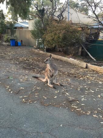 Waranga shores is a hamlet in victoria and has about 317 residents. LAKE WARANGA CARAVAN PARK & HOLIDAY CAMP: Reviews ...