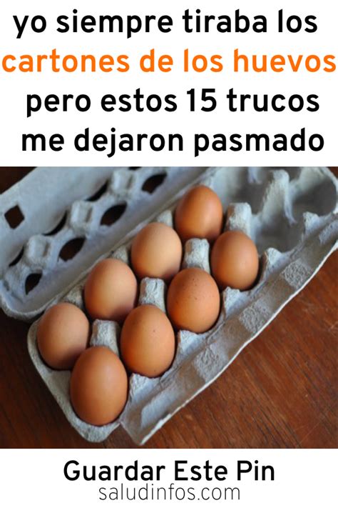 Sólo debe de hacer esto una vez. Yo Siempre Tiraba Los Cartones De Los Huevos, Pero ESTOS ...