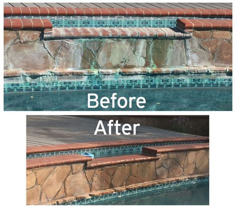 We did not find results for: Get Rid Of The Calcium Buildup ASAP! | Specialty Aquatic ...