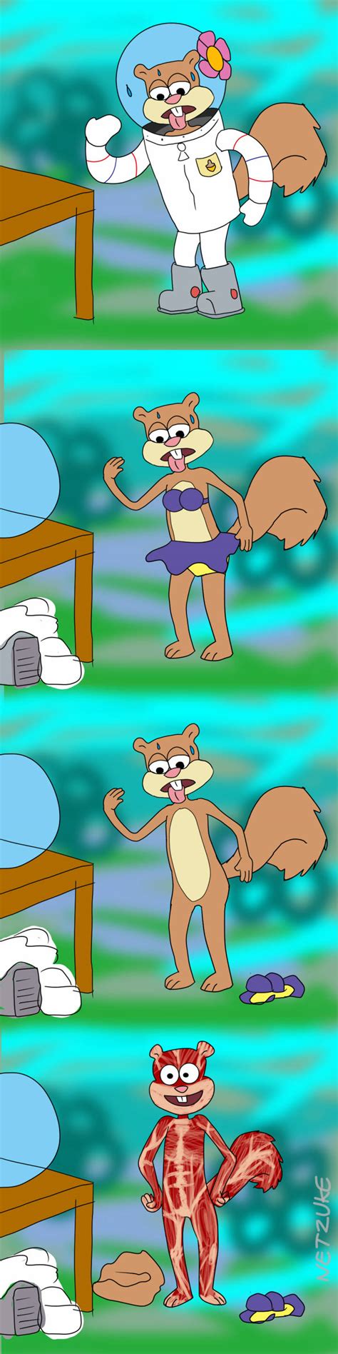 Sandra sandy cheeks is a fictional character in the nickelodeon franchise s...