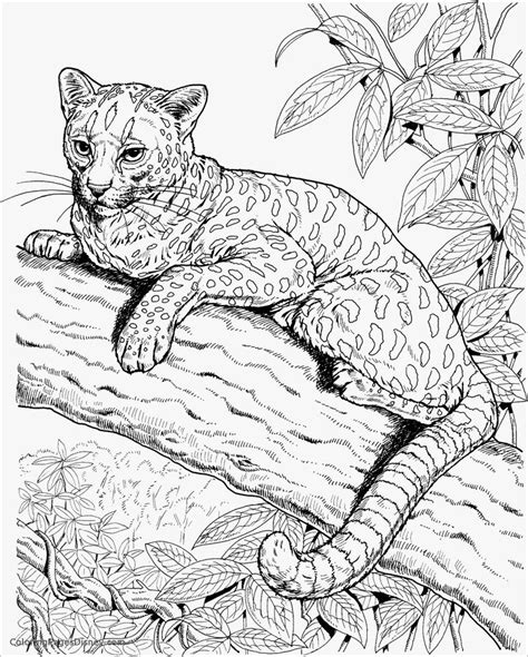 They will also be great to use in the school, with all the children choosing the cat drawing they would like to color. Realistic Cheetah Coloring Page | Mermaid coloring pages ...