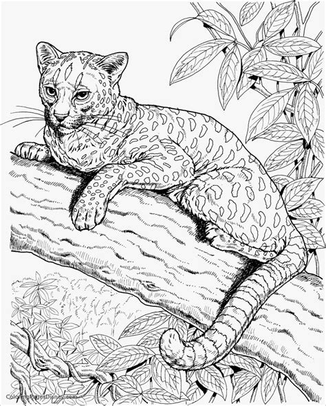 This advanced adult coloring book contains 40 realistic reptile coloring pages and is suitable for use with everything from coloring pencils to markers. Realistic Cheetah Coloring Page | Mermaid coloring pages ...