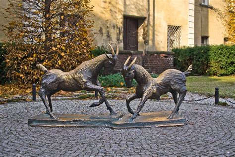 Sprawdź najnowsze i najciekawsze materiały przygotowane przez redakcję w dziale poznań. Poznań