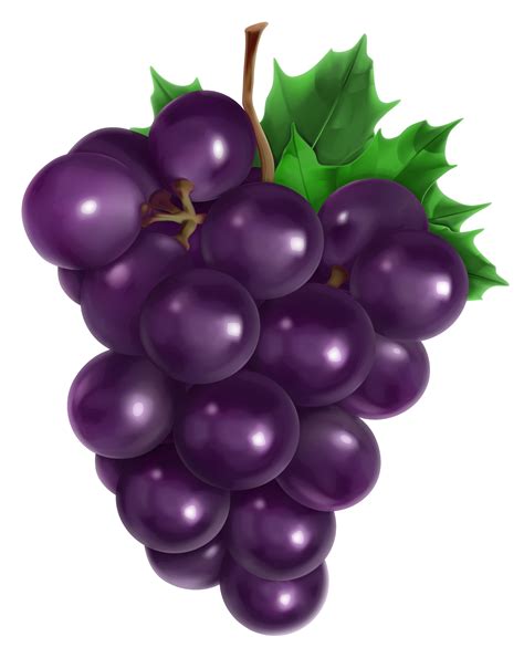 Free Purple Grapes Cliparts, Download Free Purple Grapes ...