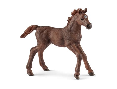 Maybe you would like to learn more about one of these? FIGURINE SCHLEICH - POULAIN PUR-SANG ANGLAIS (8 X 9 CM ...