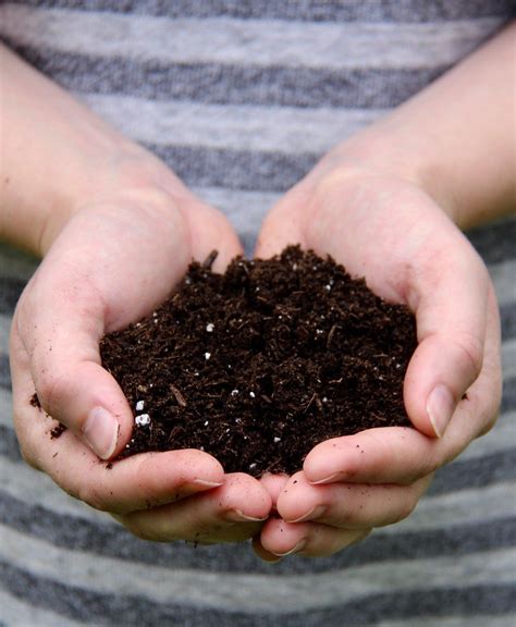 Discover the 3 key elements of soil improvement for healthy sustainable vegetable gardens. Pin on Canning