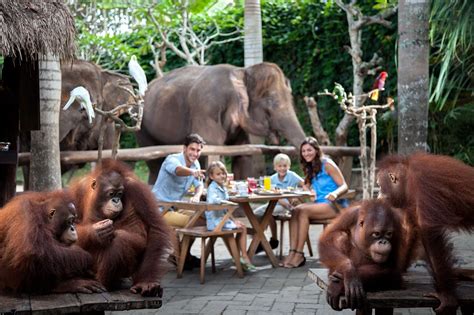 Discover the best of taiping so you can plan your trip right. Bali Zoo Tickets Price 2018 | Binatang, Kebun binatang ...