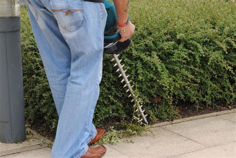 Es gibt drei verschiedene schnittarten der ligusterhecke wann muss man die ligusterhecke zurückschneiden? File:Cordless electric hedge trimmer 4.jpg - Wikimedia Commons