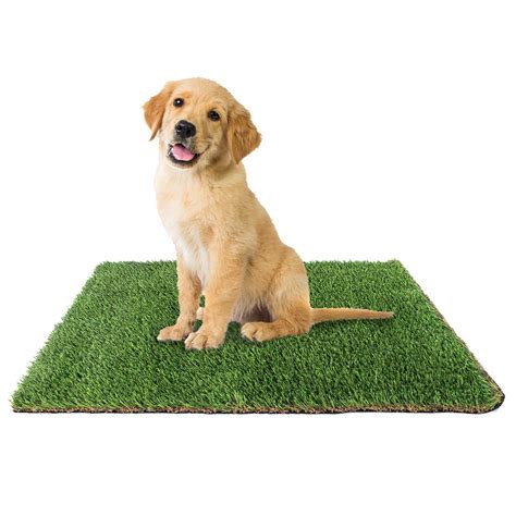 When it comes to urine, it really depends on the type of grass you have. Downtown Pet Supply Washable Artificial Grass Synthetic Turf Rug Pee Patch Mat for Dogs with ...