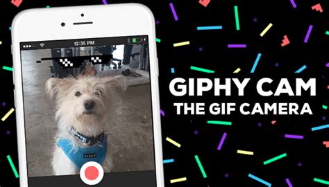 Giphy for wp is the fastest. GIPHY CAM, A GIF-Creating Camera App by Giphy