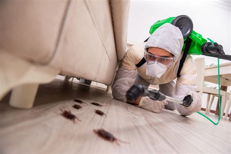 Oftentimes, these creatures can be difficult to keep at bay, and may continue to return even after you think the problem is resolved. 5 Best Exterminators in Fort Worth 磊