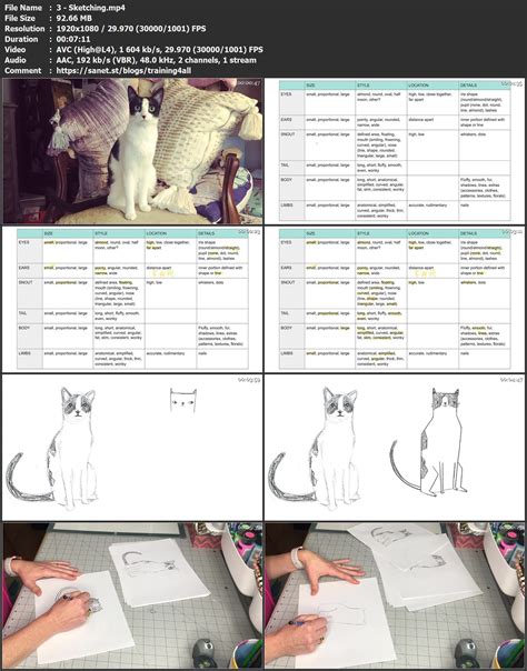 See more ideas about drawing tutorial, drawings, creative tutorials. Instreamset:"Drawing Tutorial" & .Asp?Cat= / Cat Anatomy ...
