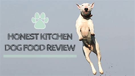 However, many dog owners did not mind. Honest Kitchen Dog Food Review: Raw Benefits of Dehydrated ...