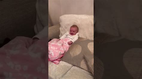 Dogs cannot know that babies have so much value to humans. Baby laughing hysterically at dad pretending to be a ...