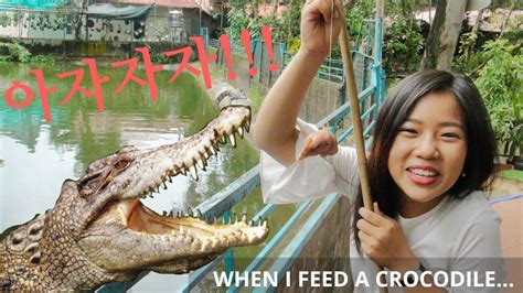 Part of the agency's mission is to restore extirpated wildlife when and where it is biologically and sociologically feasible. 베트남 악어 피딩 Vietnam crocodile feeding - YouTube