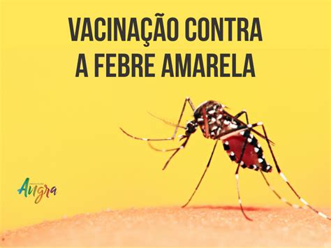 Resumo esquemático (calendário do adulto e do idoso). Vacina da febre amarela está à disposição da população ...