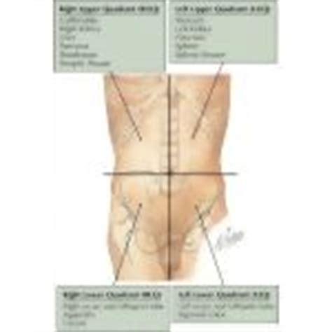 Graph with the 4 quadrants labeled on a coordinate plane. Quadrants of Abdomen