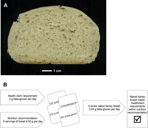 Barley bread has defined bread making cultures for thousands of years. A. Pure naked barley bread produced according to the ...