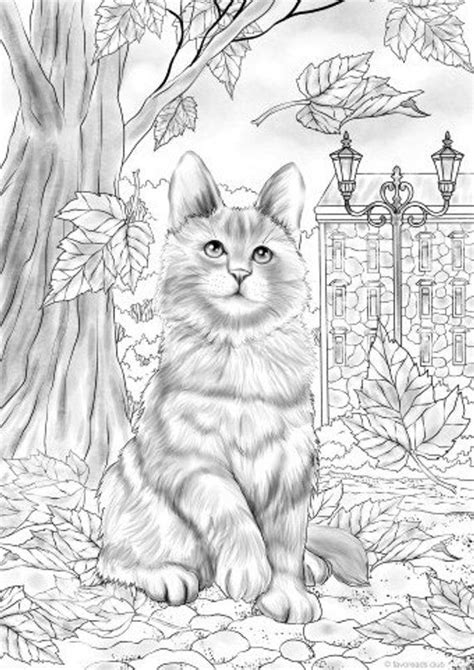 For kids & adults you can print animal or color online. Autumn Kitty - Printable Adult Coloring Page from ...