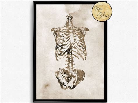 Printable wall art and vintage home decor. Skeleton Torso, Watercolor Print, Human Skeleton, Anatomy ...