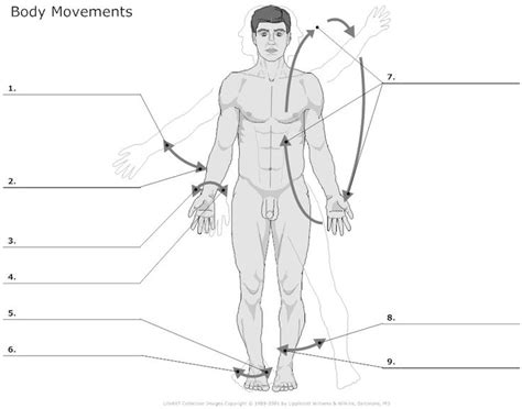 The following chart provides each verb indicating the part of the body used to make the movement, as well as providing a definition & example for each. body movements | Human body worksheets, Human body anatomy ...