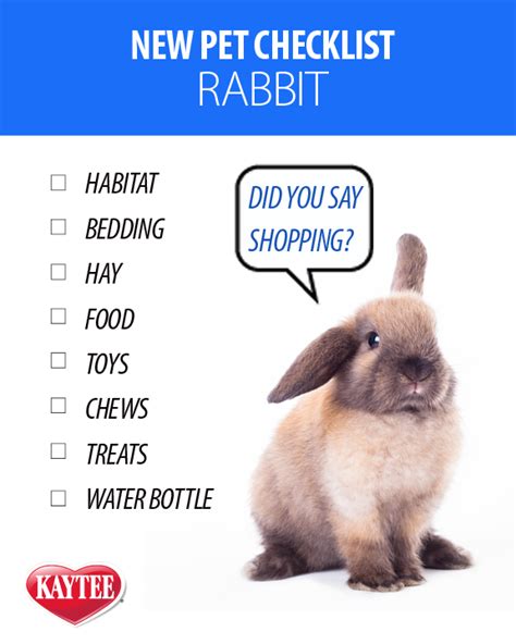 Compare providers based on coverage, costs and reviews. Pet Insurance For Rabbits - Wayang Pets