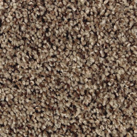 Installing new carpeting is the most affordable and efficient way to. Home Decorators Collection Carpet Sample - Conard - Color ...