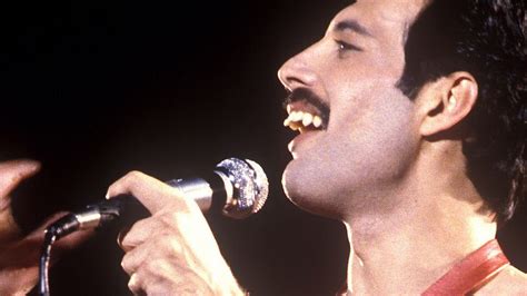 Freddie mercury wasn't notorious for feuding with other artists, but he did make an exception for sex. 20. Todestag: Die Musik-Legende Freddie Mercury ...