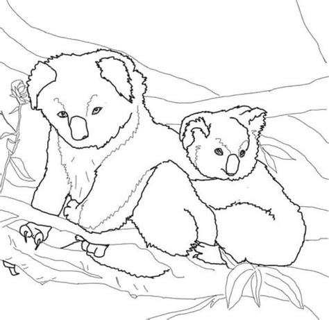 Baby koala sleeping on the tree coloring page print. Mother and Baby Koala coloring page | SuperColoring.com