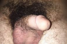 hairy balls cock small close